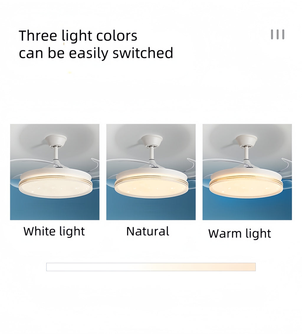 OEM High Quality 42 Inch Modern Gold Ceiling Fan with Light Smart AC Motor Home's Invisible Blade Remote Control