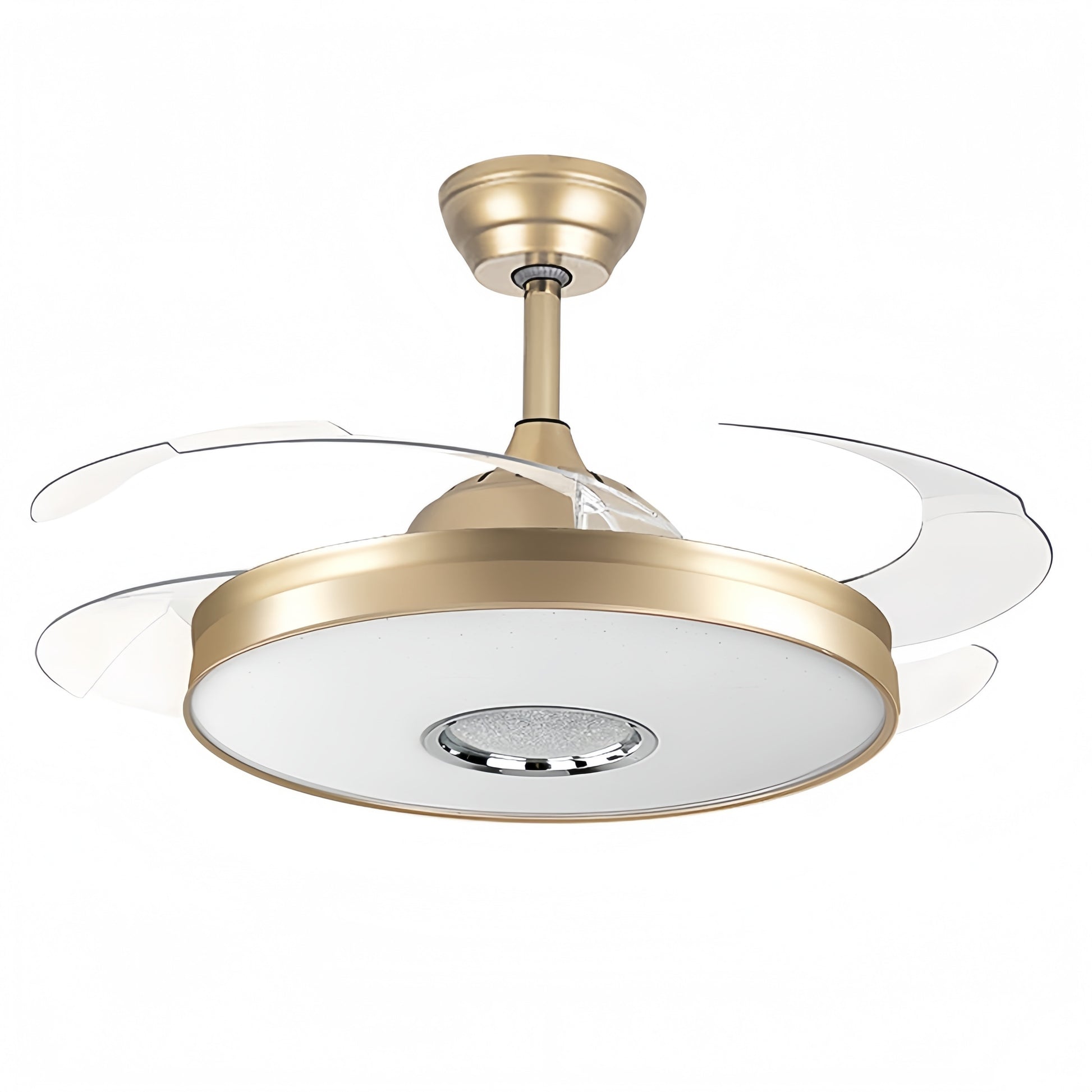 Modern Luxury AC Motor LED Ceiling Fan Light with Remote Control for Living Dining Kitchen Bedroom Decorative Art